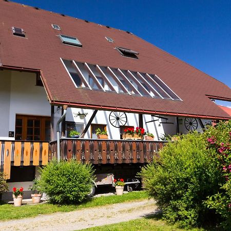 Ferienwohnung Jasmin วีเดน ภายนอก รูปภาพ